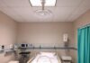 97% of Canadian doctors report having to counter harm caused by false online information